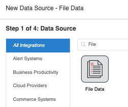 File Data Option